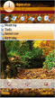 Autumn Forest by Bro.sis