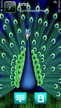 Peacock РѕС‚ SunnylovesalmanВ®в„ў.zip