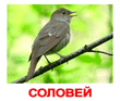 РџРµРЅРёРµ СЃРѕР»РѕРІСЊСЏ.mp3