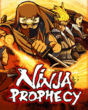 Ninja Prophecy (eng).jar