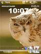 owl.zip