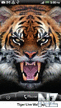 Tiger Live Wallpaper 1.05.zip