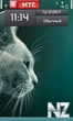 cute cat3.zip