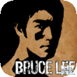 Bruce Lee Dragon Warrior v1.1.ipa