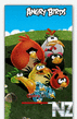 Opera Mini v.6.1 Angry Birds mod by Macky.zip