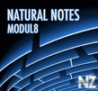 natural notes - sex machine