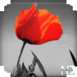 Magic Canvas 1.0.2.apk