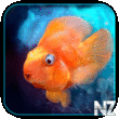 iQuarium v1.90.ipa