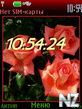 roses_swf.nth