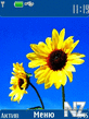 Sunflower.nth