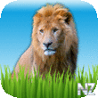 Zoo Sounds - Fun Educational Games for Kids v3.0.ipa