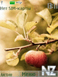 An_Apple_A_Day.nth