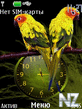 parrot_clock_w_icons.nth