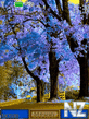 3d_Autumn.nth