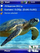 seaturtle.zip