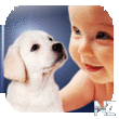 ZOOLA.apk