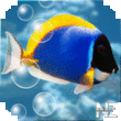 Aquarium Live Wallpaper v2.65.apk