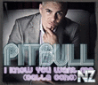 Pitbull - I Know You Want Me (Calle Ocho).flv