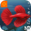 Fish Tycoon v1.1.0.ipa