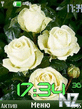 swf-roses-clock_by_galina.nth