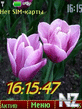 spring-flowers12pict.nth