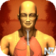 Universal Breathing - Pranayama v2.6.ipa