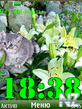 swf-clock-kitten_by_galina.nth