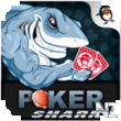 Poker Shark Online.apk