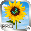 Photo Manager Pro v4.1.0.ipa