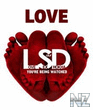 lsd_love_en_nokia_e50_s60_240x320.jar