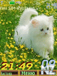 summer24pict.nth