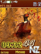 animals-in-autumn12_pict_swf.nth