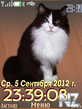 cat_12_swf.nth