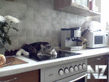 TALKING_CAT_who_snaps_on_the_stove_Nikifor_.flv