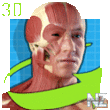 Easy Anatomy 3D v4.0.apk