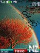 rainbow_digital.nth