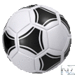 Soccer Scores Pro - FotMob v9.3.1.apk