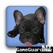 В®GameGuardian v6.0.0.apk