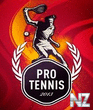 _2013_Pro_Tennis_2013_.jar