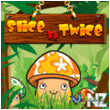 Slice It Twice v1.0.0.0.xap