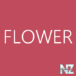 Flower Wallpapers v1.0.0.0.xap