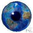 World Eye Free v1.6.0.0.xap