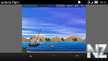 Galleon_Fight.swf