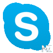 Skype v5.3.0.65246.apk