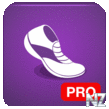 Pedometer PRO v1.3.apk