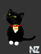 Black_Cat.swf