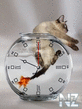 Cat_Fish_Clock.swf