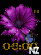 Flower_Clock.swf