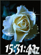 Shiny_Rose_Clock.swf