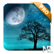 Dream Night Pro Live Wallpaper v1.3.4.apk